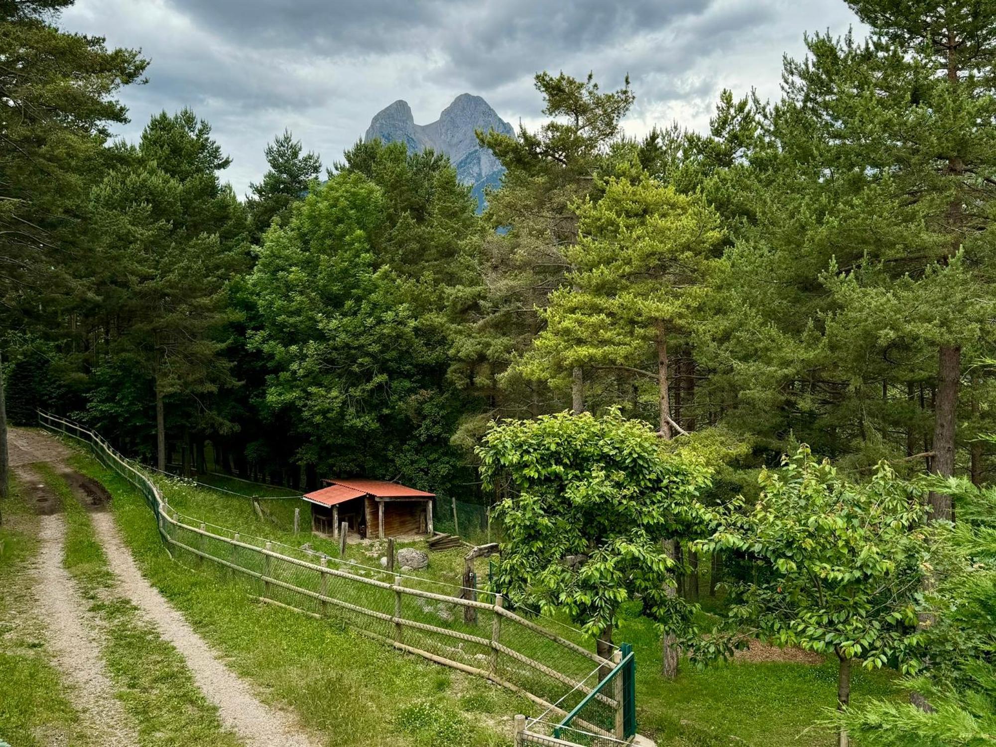 Villa Cal Roig - Pedraforca Saldés Exterior foto
